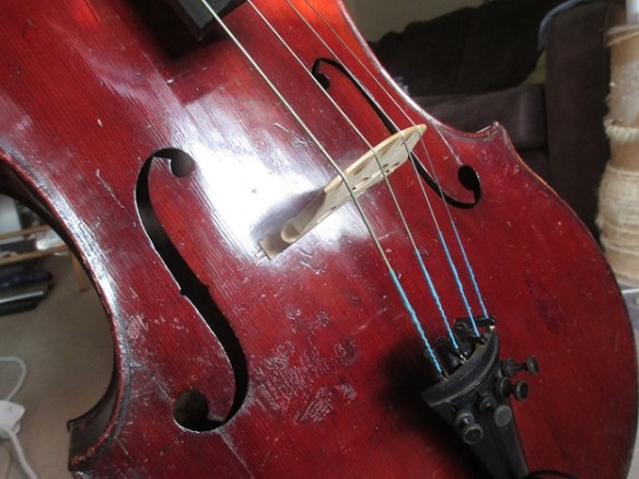 cello